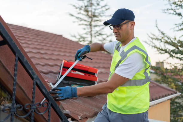 Best Attic Insulation Installation  in USA